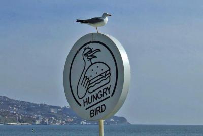 Прикрепленное изображение: 003.jpg